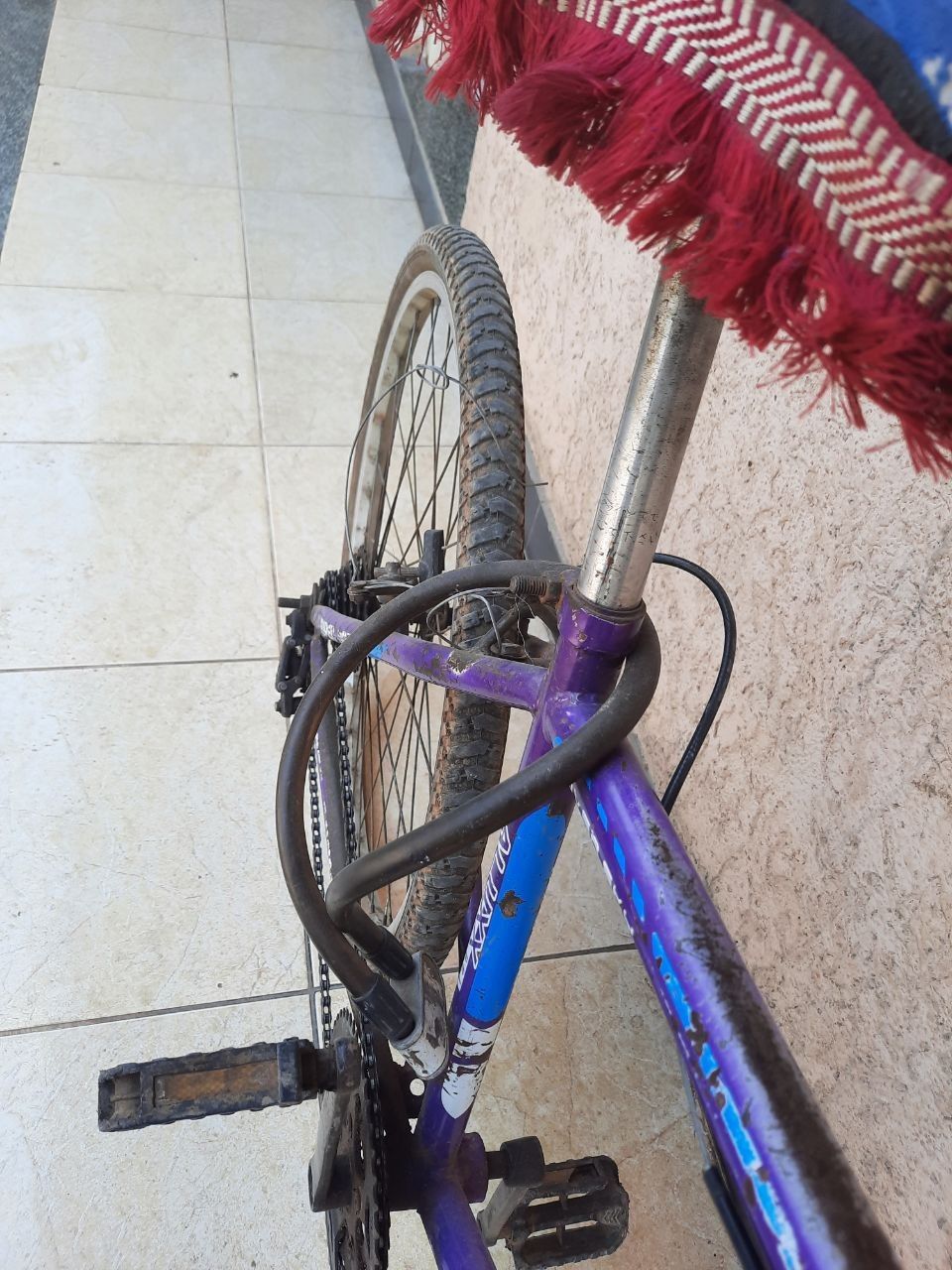 Bicycle