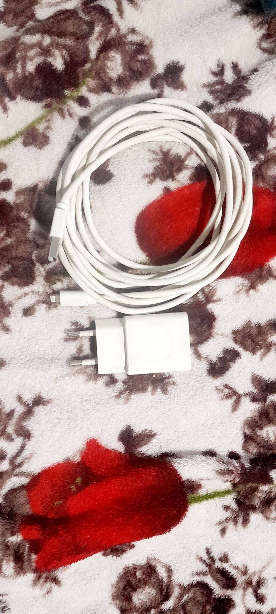 IPhone charger