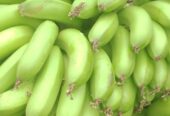 Green bananas 🍌