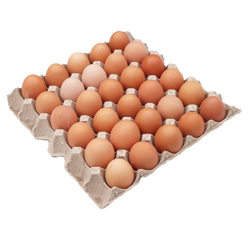 Egg