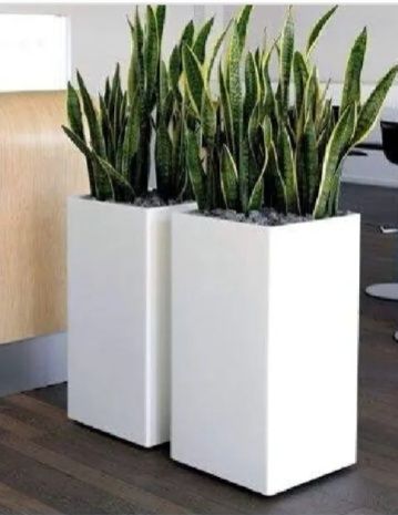Fiber glass products